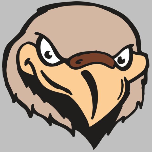 AR FALCON 33 RC Thumbnail