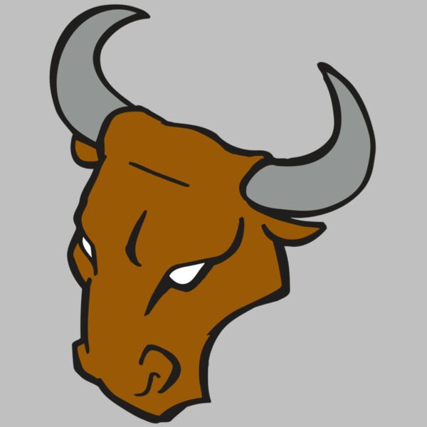 AR BULL 28 RC Thumbnail