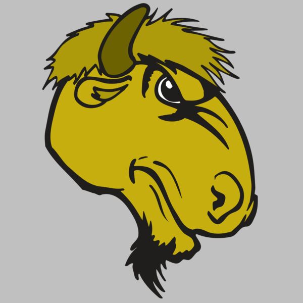 AR BUFFALO 14 RC Thumbnail