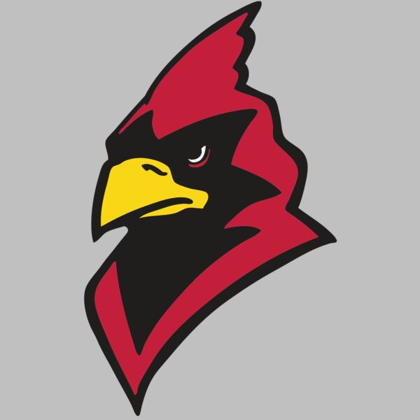 AR CARDINAL 22 RC Thumbnail