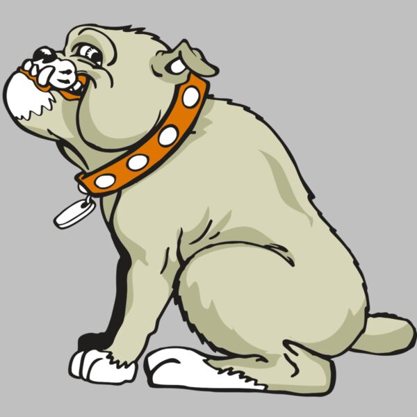 AR BDOG 26 RC Thumbnail