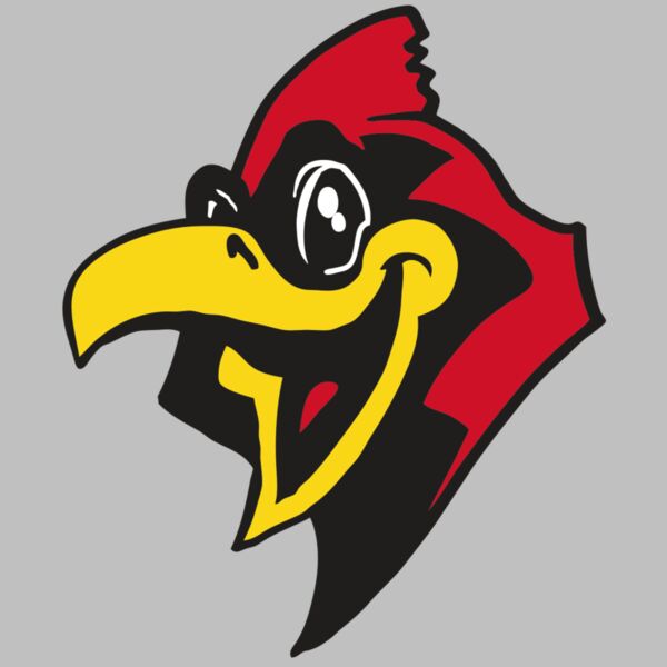 AR CARDINAL 36 RC Thumbnail