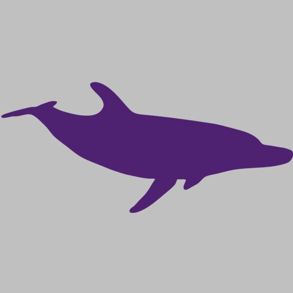 AR DOLPIN 12 RC Thumbnail