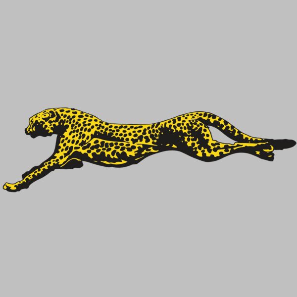 AR CHEETAH 12 RC Thumbnail