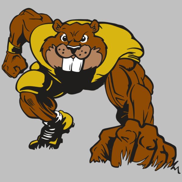 AR14 BEAVER FBLL 03 RQC Thumbnail