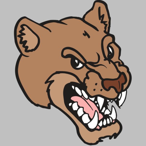 AR5 COUGAR 12 RQC Thumbnail