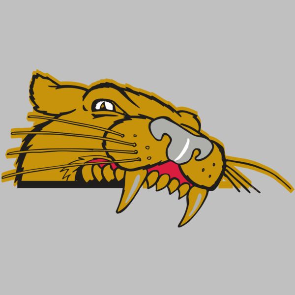 AR COUGAR 73 RC Thumbnail