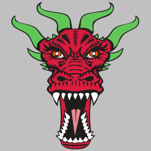 BAW DRAGON 09 RC Thumbnail