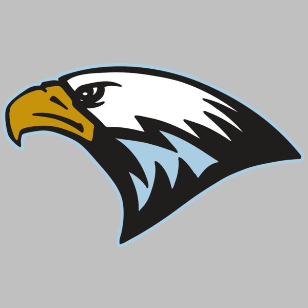 AR EAGLE 27 RC Thumbnail