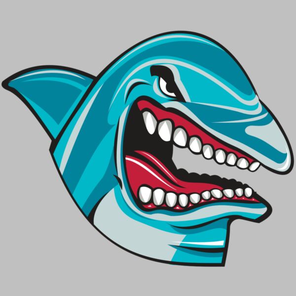 DOLPHIN HD0501 RQC Thumbnail