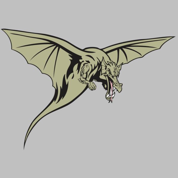 BAW DRAGON 12 RC Thumbnail