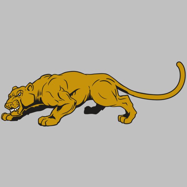 AR10 PAN COU 01 RQC Thumbnail