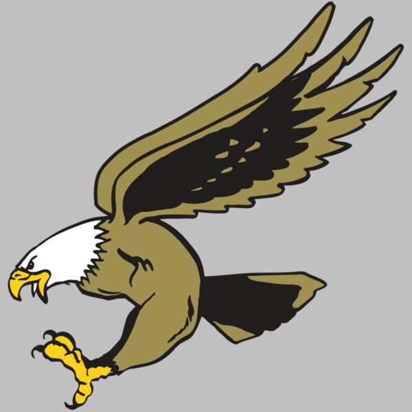 AR EAGLE 23 RC Thumbnail