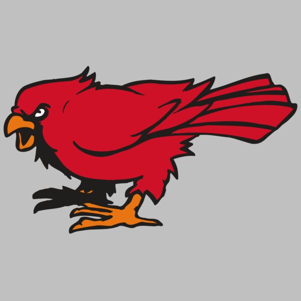 AR CARDINAL 59 RC Thumbnail