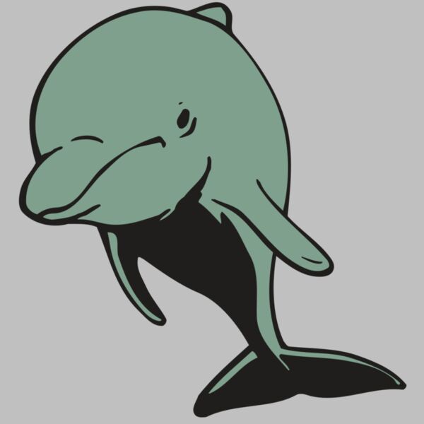 AR DOLPIN 11 RC Thumbnail