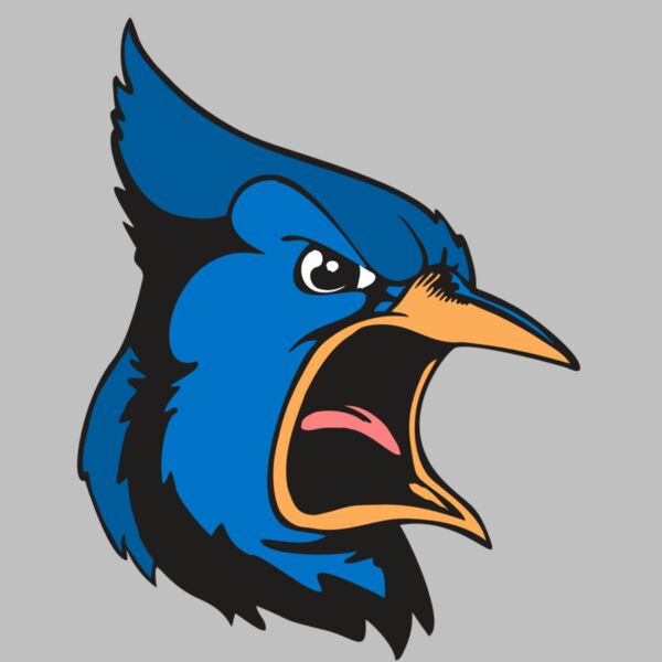 BAW BLUEJAY 03 RC Thumbnail