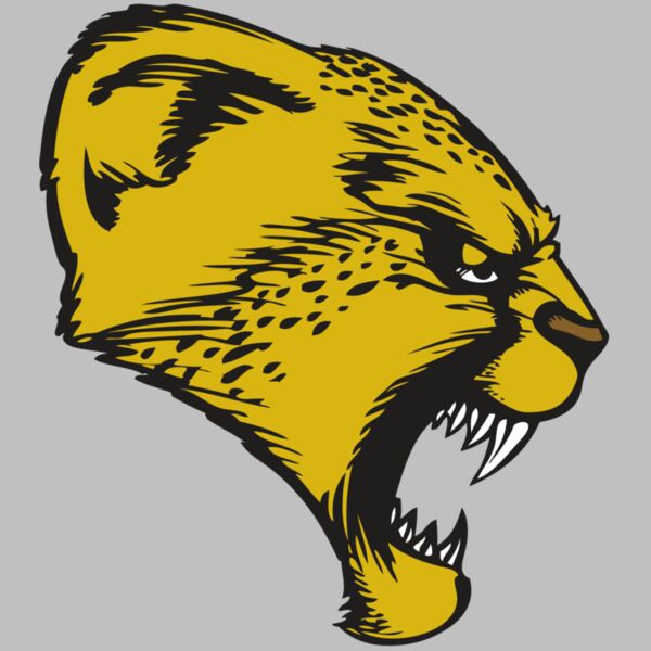 BAW CHEETAH 13 RC Thumbnail