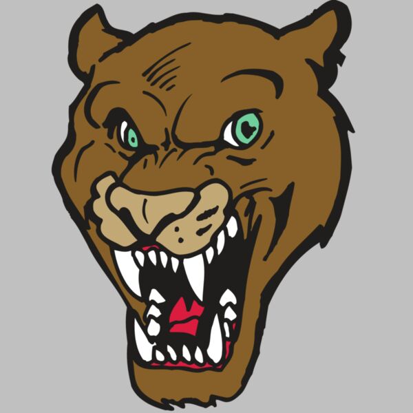 AR5 COUGAR 16 RQC Thumbnail