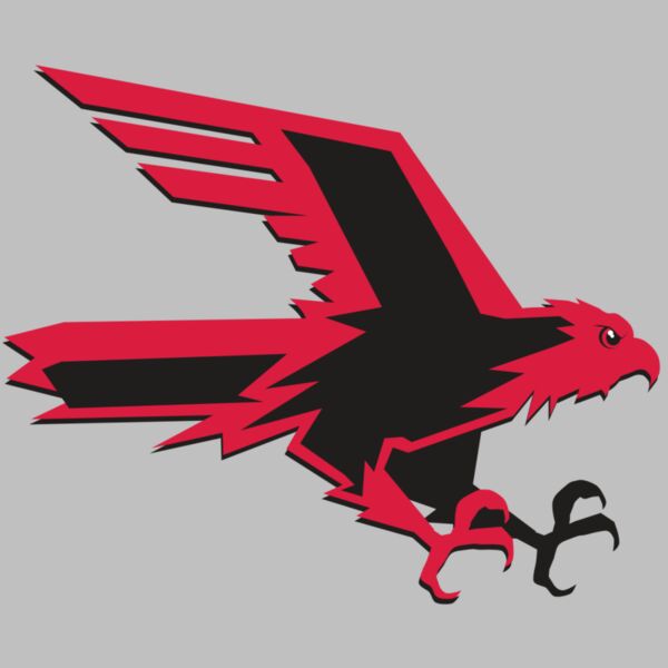 AR9 FALCON 02 RQC Thumbnail