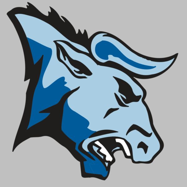 AR BULL 20 RC Thumbnail