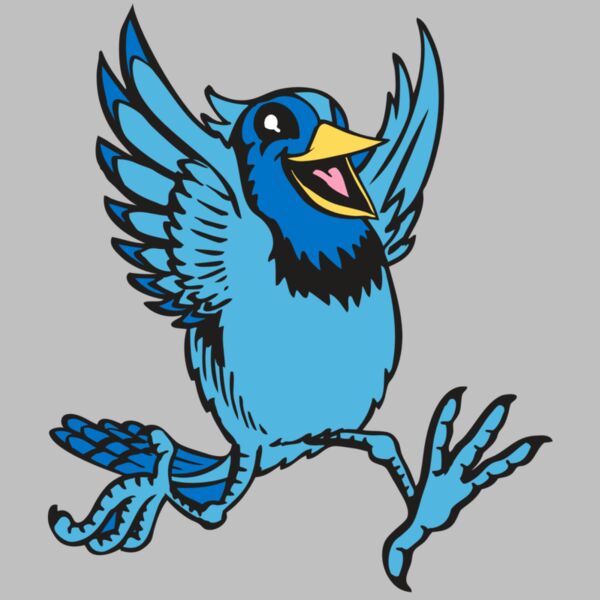 BAW BLUEJAY 09 RC Thumbnail