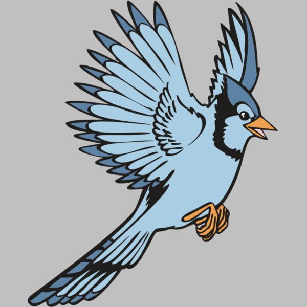 BAW BLUEJAY 12 RC Thumbnail