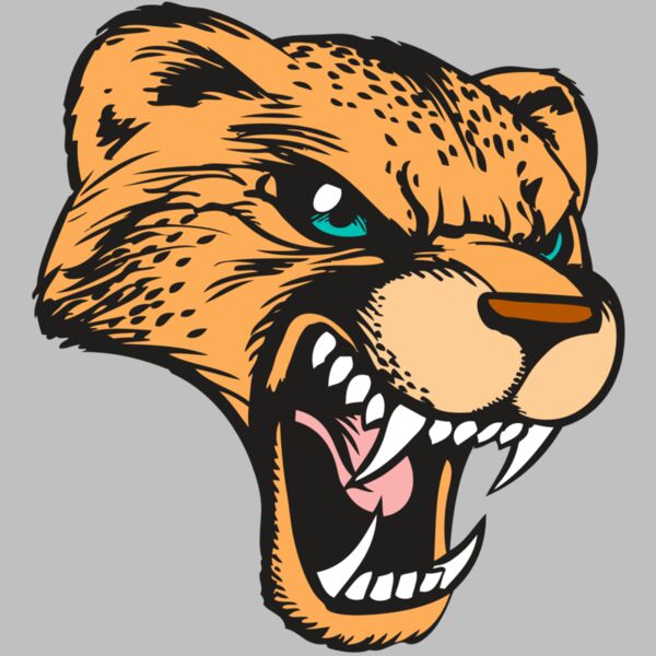 BAW CHEETAH 19 RC Thumbnail