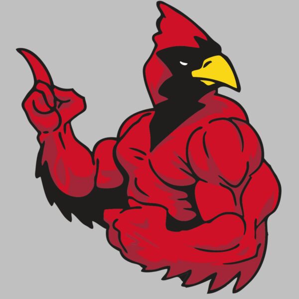 AR CARDINAL 28 RC Thumbnail