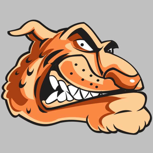 CHEETAH HD0503 RQC Thumbnail