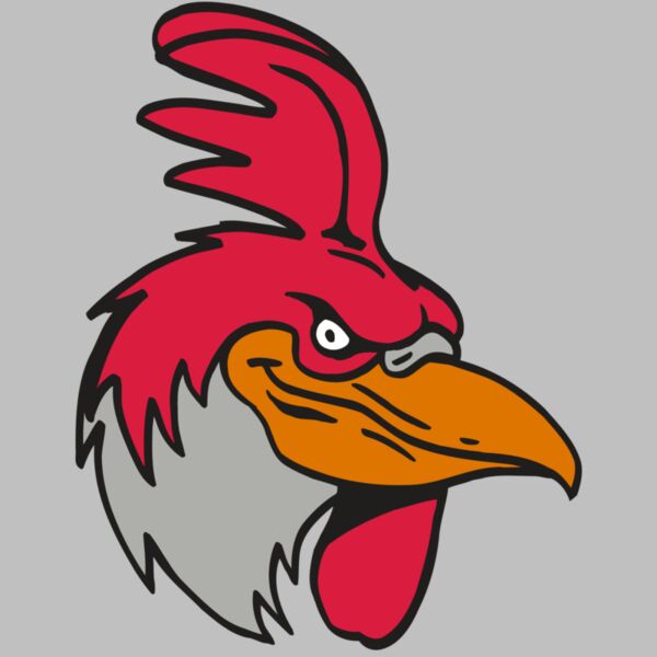 AR5 Gamecock 05 RQC Thumbnail