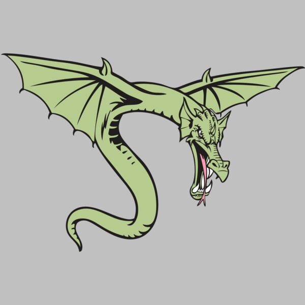 BAW DRAGON 08 RC Thumbnail