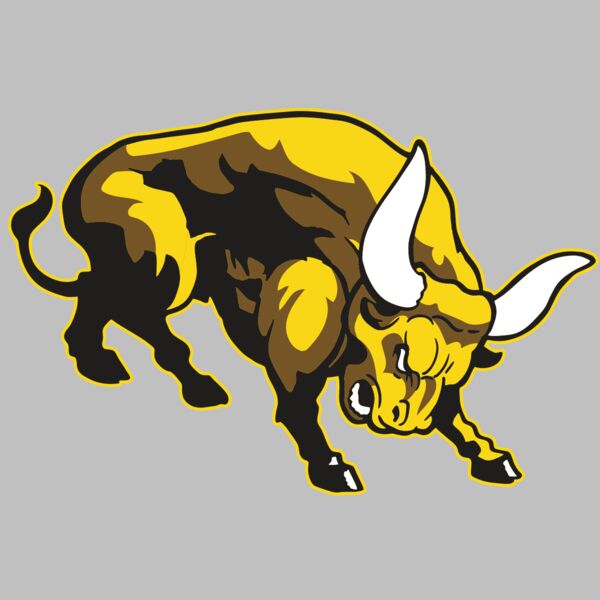 AR BULL 57 RC Thumbnail