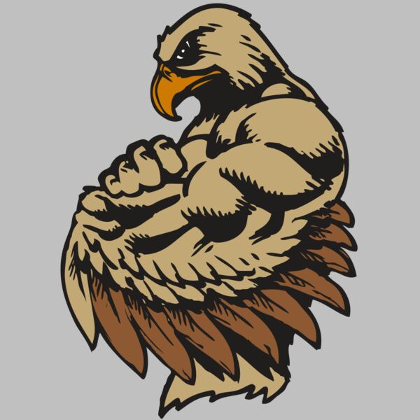 BAW HWK FLCN 02 RC Thumbnail