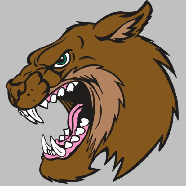 AR5 BOBCAT 18 RQC Thumbnail