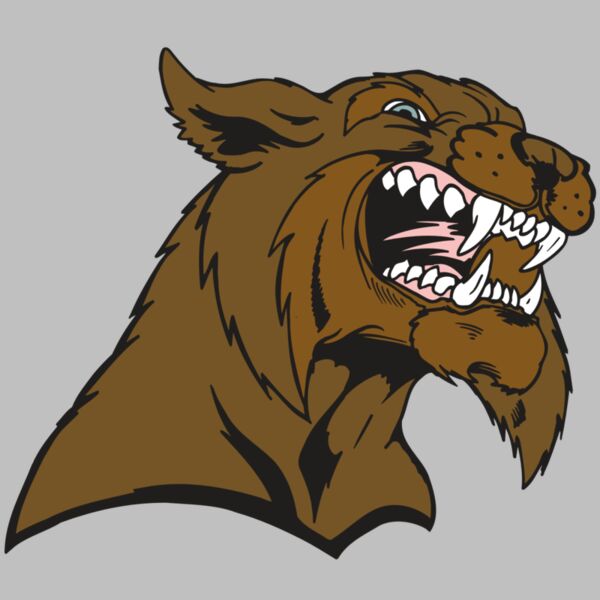 AR5 BOBCAT 21 RQC Thumbnail