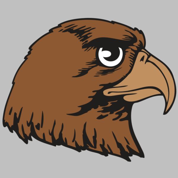 BAW HWK FLCN 05 RC Thumbnail