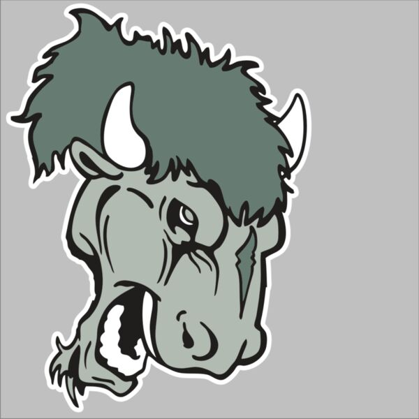 AR BUFFALO 19 RC Thumbnail