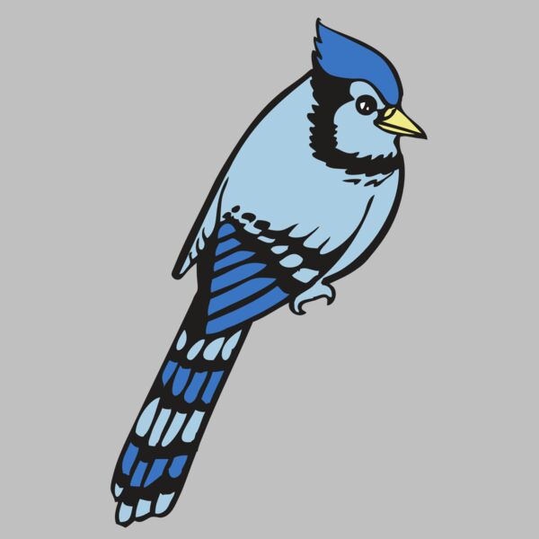 BAW BLUEJAY 08 RC Thumbnail