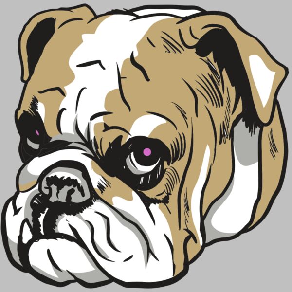 AR10 BDOG 01 C Thumbnail