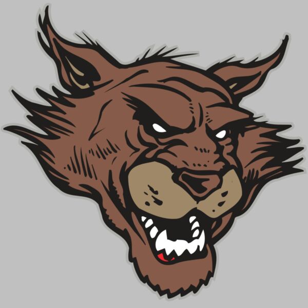 AR WILDCAT 11 RC Thumbnail