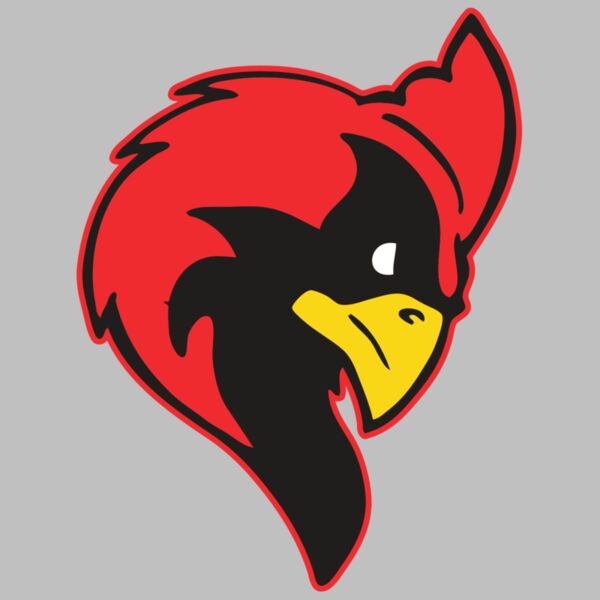 AR CARDINAL 24 RC Thumbnail