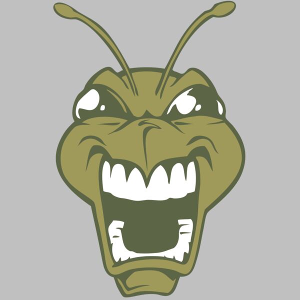 BAW BEE 13 RC Thumbnail