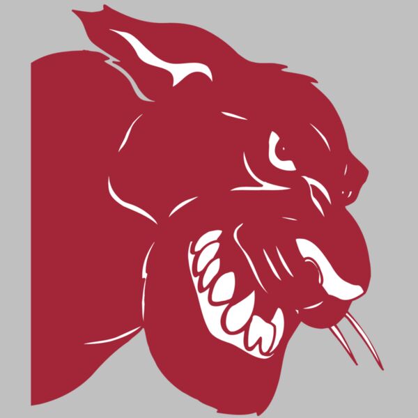 AR5 COUGAR 37 RQC Thumbnail