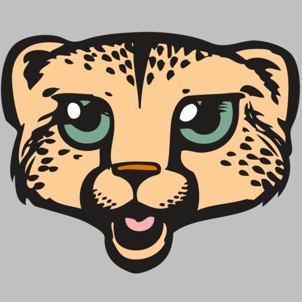 BAW CHEETAH 18 RC Thumbnail