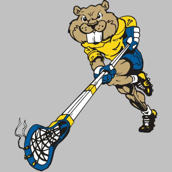 AR8 BEAVER 02 RQC Thumbnail