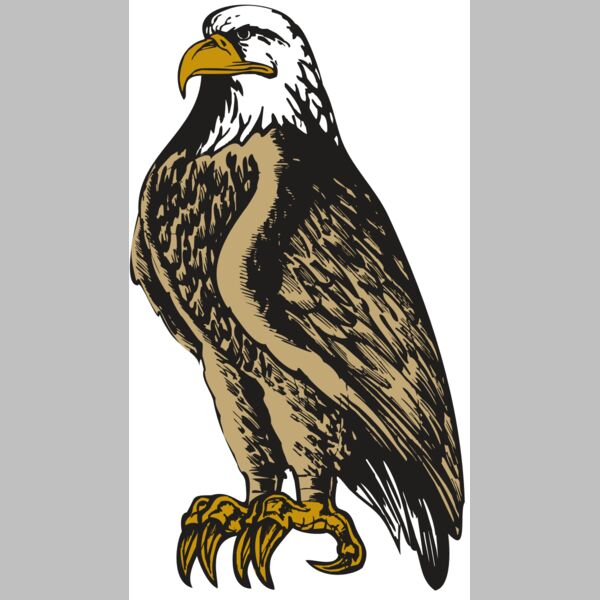 BAW EAG 02 RC Thumbnail