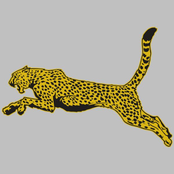 AR CHEETAH 10 RC Thumbnail