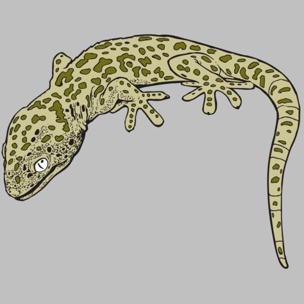 AR GEKO 19 RC Thumbnail