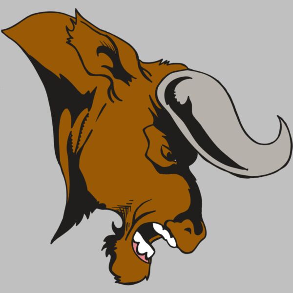 AR5 BULL 07 RQC Thumbnail