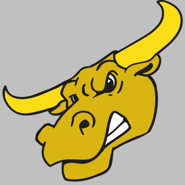 AR BULL 29 RC Thumbnail